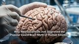 Why Neuroscientists Just Disproved the Popular Lizard Brain Myth of Human Emotion