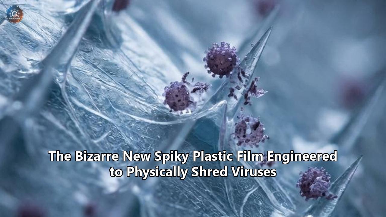 The Bizarre New Spiky Plastic Film Engineered to Physically Shred Viruses