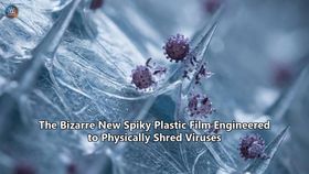 The Bizarre New Spiky Plastic Film Engineered to Physically Shred Viruses