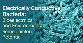 Electrically Conductive Bacteria: Bioelectronics and Environmental Remediation Potential