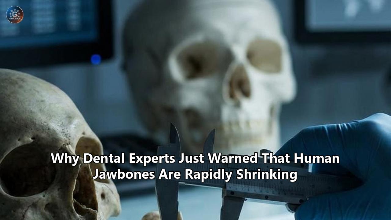 Why Dental Experts Just Warned That Human Jawbones Are Rapidly Shrinking