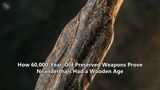 How 60,000-Year-Old Preserved Weapons Prove Neanderthals Had a Wooden Age