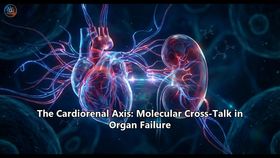 The Cardiorenal Axis: Molecular Cross-Talk in Organ Failure