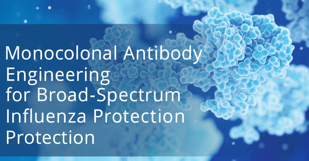 Monoclonal Antibody Engineering for Broad-Spectrum Influenza Protection