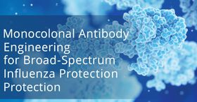 Monoclonal Antibody Engineering for Broad-Spectrum Influenza Protection
