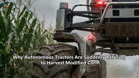 Why Autonomous Tractors Are Suddenly Refusing to Harvest Modified Corn