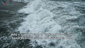 Why a Sudden Wave of "Sneaker Waves" Just Swept beachgoers Into the Pacific This Week