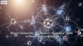 Neuro-Immunity: The Brain's "Guardian" Cells in Neurological Disease