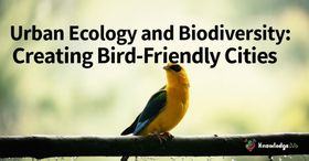 Urban Ecology and Biodiversity: Creating Bird-Friendly Cities