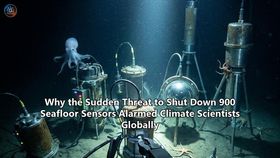Why the Sudden Threat to Shut Down 900 Seafloor Sensors Alarmed Climate Scientists Globally