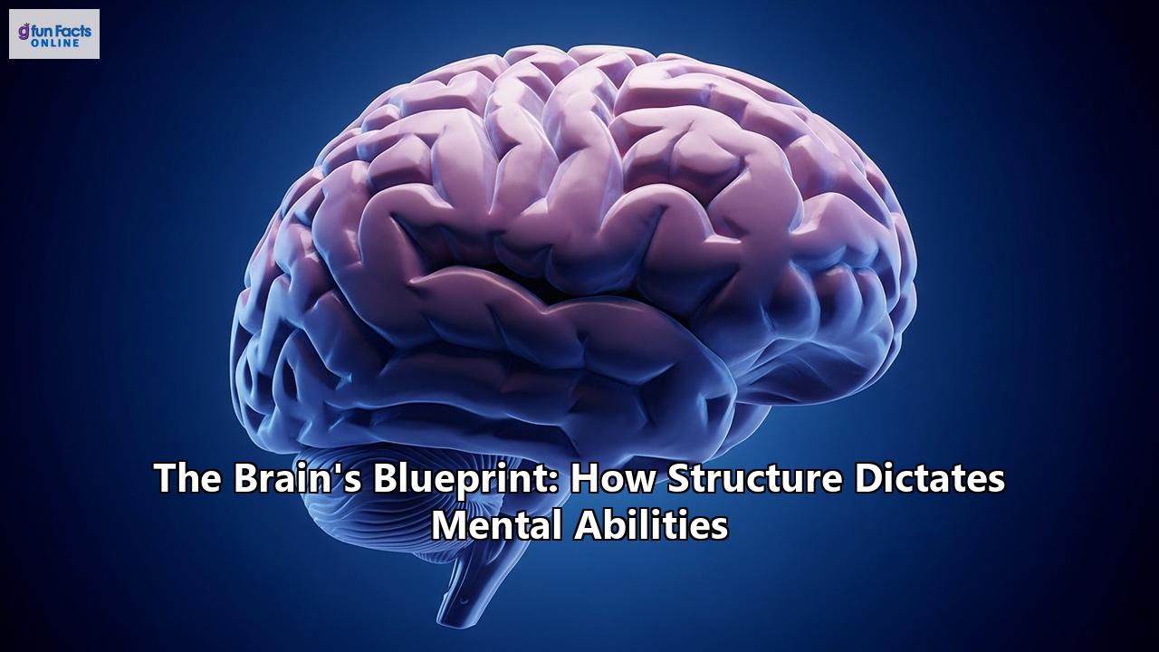 The Brain's Blueprint: How Structure Dictates Mental Abilities