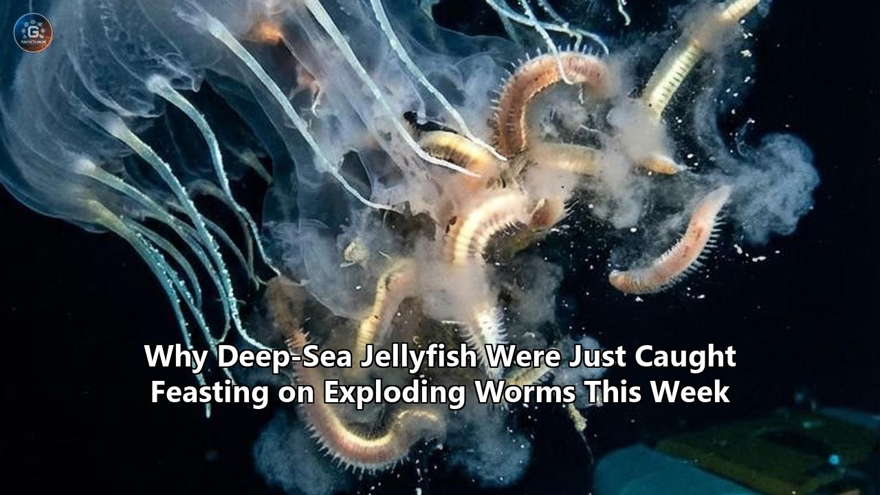Why Deep-Sea Jellyfish Were Just Caught Feasting on Exploding Worms This Week