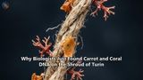 Why Biologists Just Found Carrot and Coral DNA on the Shroud of Turin