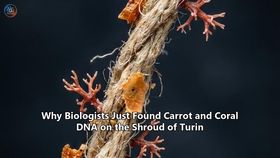 Why Biologists Just Found Carrot and Coral DNA on the Shroud of Turin