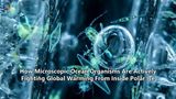 How Microscopic Ocean Organisms Are Actively Fighting Global Warming From Inside Polar Ice