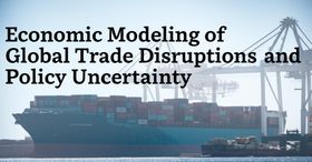Economic Modeling of Global Trade Disruptions and Policy Uncertainty