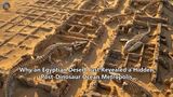 Why an Egyptian Desert Just Revealed a Hidden Post-Dinosaur Ocean Metropolis