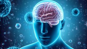 The Evolving Brain: APOE, Alzheimer's, and Microglia
