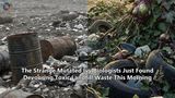 The Strange Mutated Ivy Biologists Just Found Devouring Toxic Landfill Waste This Morning