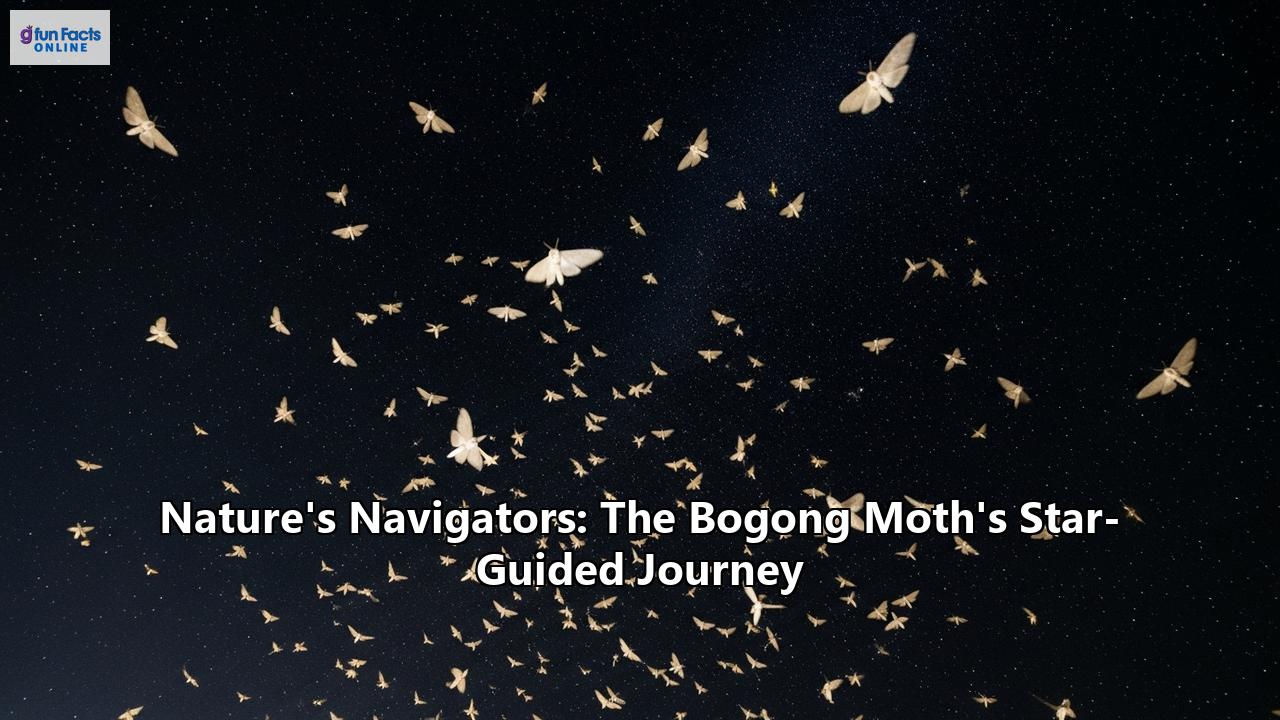 Nature's Navigators: The Bogong Moth's Star-Guided Journey