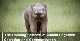 The Evolving Science of Animal Cognition and Communication