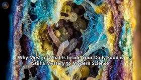 Why Most of What Is Inside Your Daily Food is Still a Mystery to Modern Science