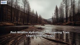 Post-Wildfire Hydrology: The Lingering Toxic Legacy in Waterways