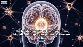 The Innate Blueprint: How Infant Brain Mapping Reshapes the Nature vs. Nurture Debate
