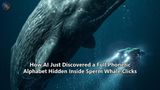 How AI Just Discovered a Full Phonetic Alphabet Hidden Inside Sperm Whale Clicks