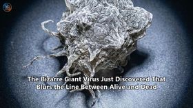 The Bizarre Giant Virus Just Discovered That Blurs the Line Between Alive and Dead
