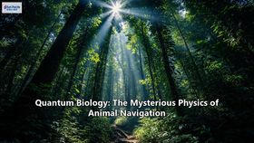 Quantum Biology: The Mysterious Physics of Animal Navigation