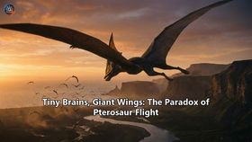 Tiny Brains, Giant Wings: The Paradox of Pterosaur Flight