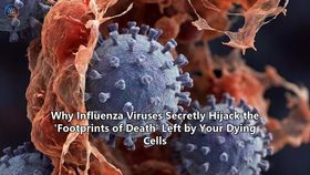 Why Influenza Viruses Secretly Hijack the 'Footprints of Death' Left by Your Dying Cells
