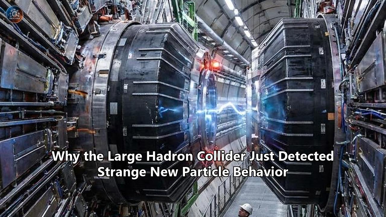 Why the Large Hadron Collider Just Detected Strange New Particle Behavior