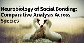 Neurobiology of Social Bonding: Comparative Analysis Across Species
