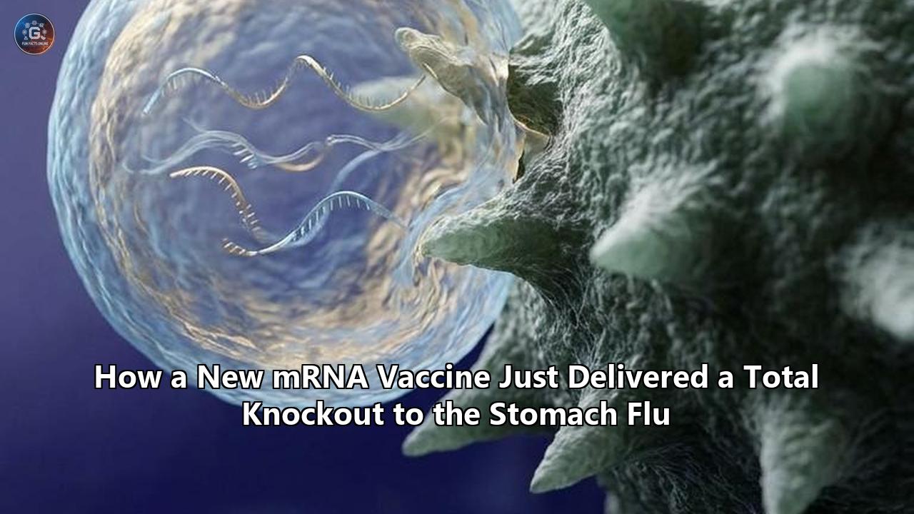 How a New mRNA Vaccine Just Delivered a Total Knockout to the Stomach Flu