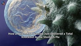 How a New mRNA Vaccine Just Delivered a Total Knockout to the Stomach Flu