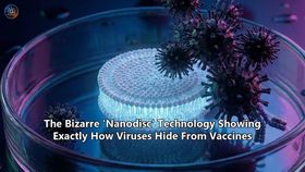 The Bizarre 'Nanodisc' Technology Showing Exactly How Viruses Hide From Vaccines