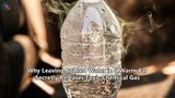 Why Leaving Bottled Water in a Warm Car Secretly Releases Toxic Chemical Gas