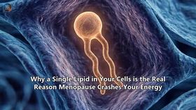 Why a Single Lipid in Your Cells is the Real Reason Menopause Crashes Your Energy