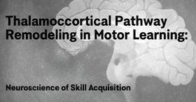 Thalamocortical Pathway Remodeling in Motor Learning: Neuroscience of Skill Acquisition