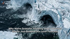 Why Warm Seawater Flooding Under Thwaites Glacier Just Doubled Sea-Level Forecasts