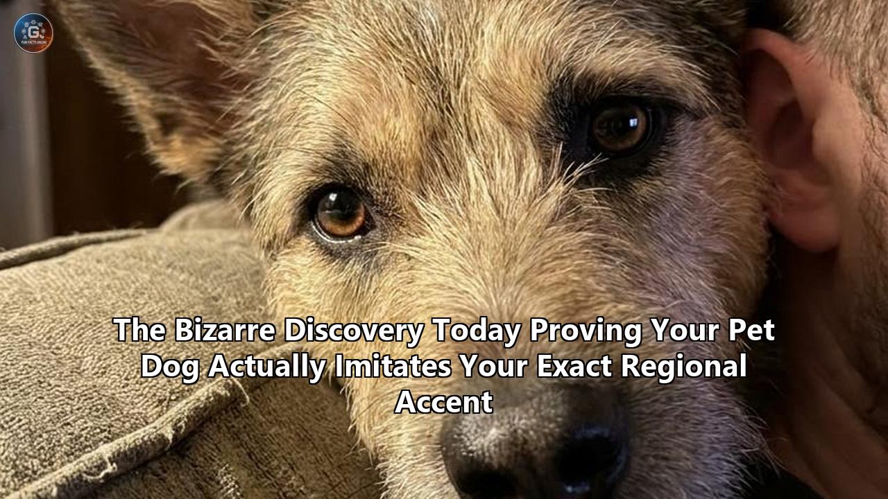 The Bizarre Discovery Today Proving Your Pet Dog Actually Imitates Your Exact Regional Accent