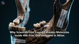 Why Scientists Just Found Cannabis Molecules Inside 400-Year-Old Skeletons in Milan