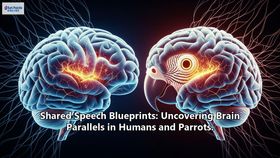 Shared Speech Blueprints: Uncovering Brain Parallels in Humans and Parrots.