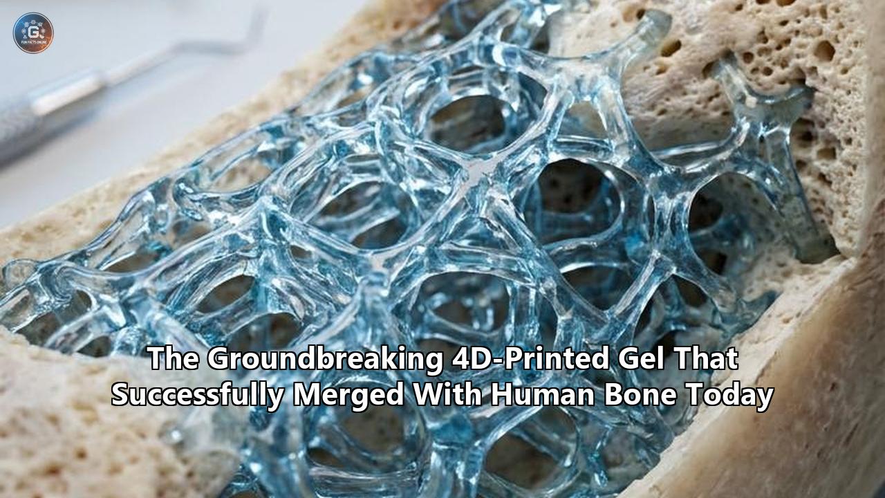 The Groundbreaking 4D-Printed Gel That Successfully Merged With Human Bone Today