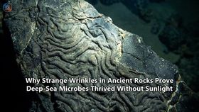 Why Strange Wrinkles in Ancient Rocks Prove Deep-Sea Microbes Thrived Without Sunlight