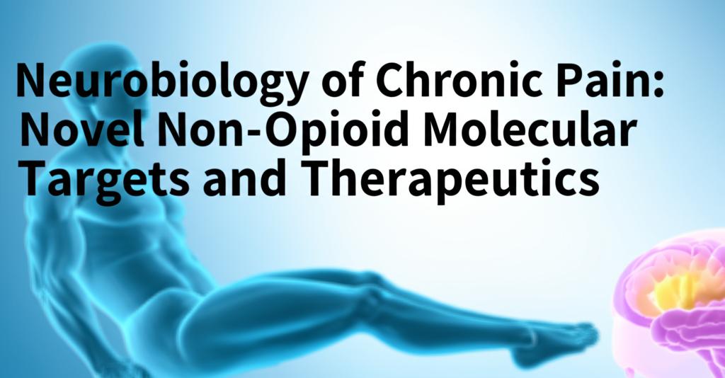 Neurobiology of Chronic Pain: Novel Non-Opioid Molecular Targets and Therapeutics