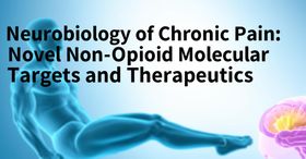 Neurobiology of Chronic Pain: Novel Non-Opioid Molecular Targets and Therapeutics
