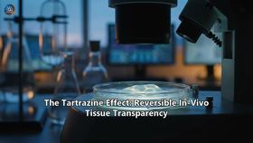 The Tartrazine Effect: Reversible In-Vivo Tissue Transparency